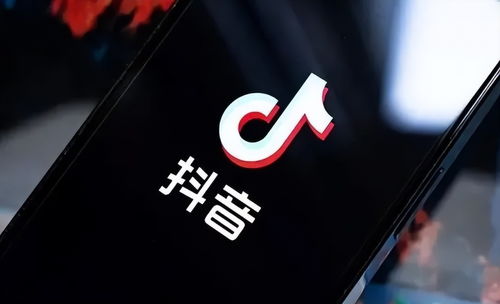 抖音成立上海霜羽戍科技，加碼軟件外包服務(wù)布局