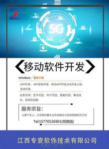 江西企業如何高效搭建專壹支付系統 軟件外包服務指南
