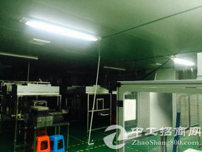 黃江鎮大型電子廠二樓無塵車間2350㎡分租，助力電子科技企業高質量發展